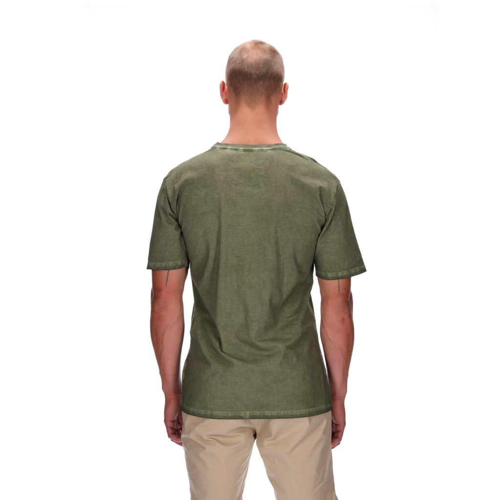 Dexter Regular Tee Stonewash Green